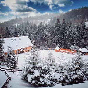 Dwupoziomowy apartament
